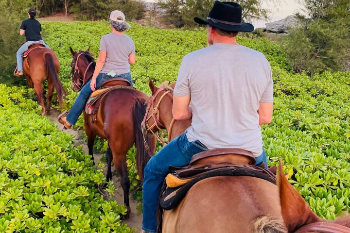 a group of people riding on the back of a horse