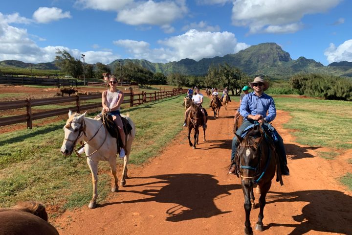 a person riding a horse on a dirt road