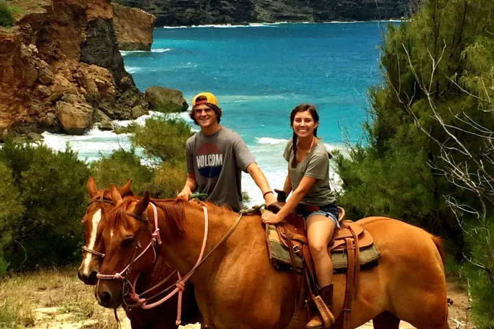 a group of cattle standing on top of a mountain