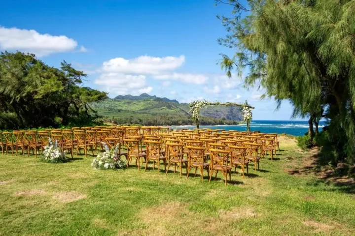 a herd of cattle standing on top of a lush green field