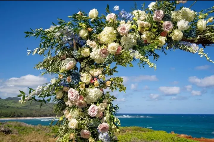 a group of stuffed animals sitting on top of a grass covered field
